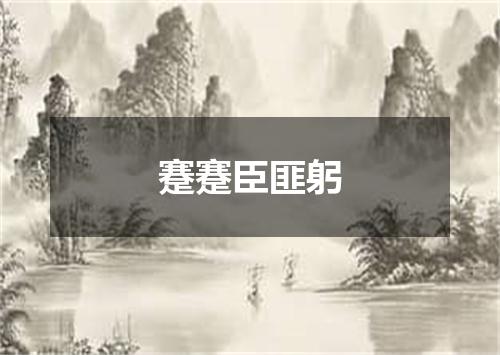 蹇蹇臣匪躬
