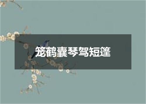 笼鹤囊琴驾短篷