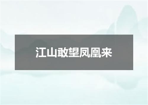 江山敢望凤凰来