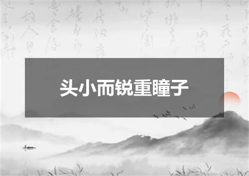 头小而锐重瞳子