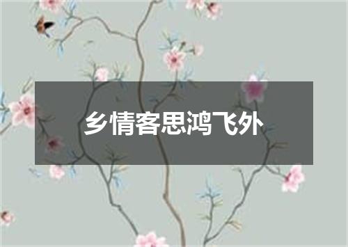 乡情客思鸿飞外
