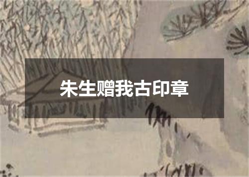 朱生赠我古印章