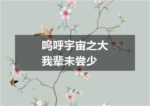 呜呼宇宙之大我辈未尝少