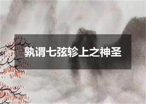 孰谓七弦轸上之神圣