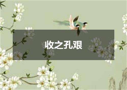 收之孔艰