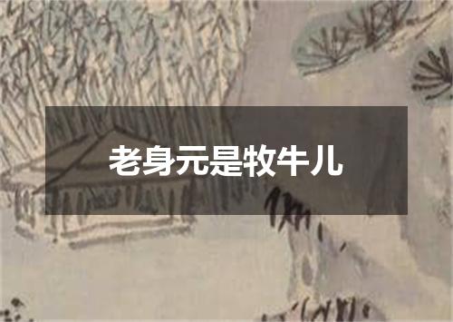 老身元是牧牛儿
