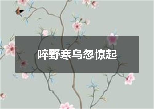 啐野寒乌忽惊起