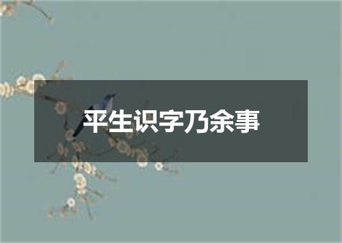 平生识字乃余事