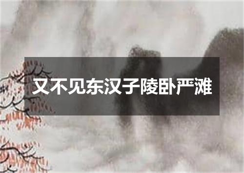 又不见东汉子陵卧严滩