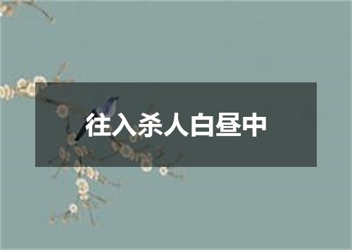 往入杀人白昼中
