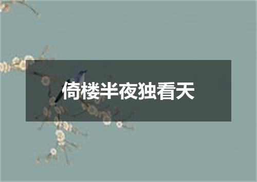 倚楼半夜独看天