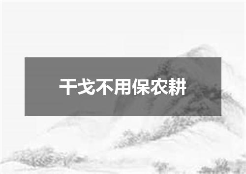 干戈不用保农耕