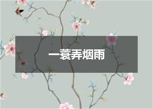 一蓑弄烟雨