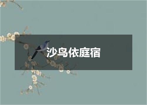 沙鸟依庭宿