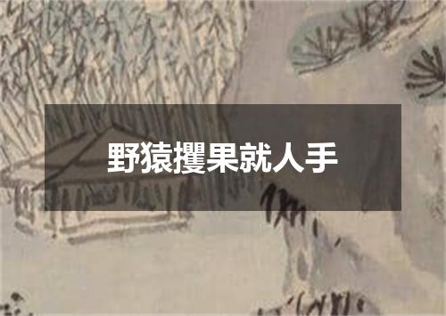 野猿攫果就人手