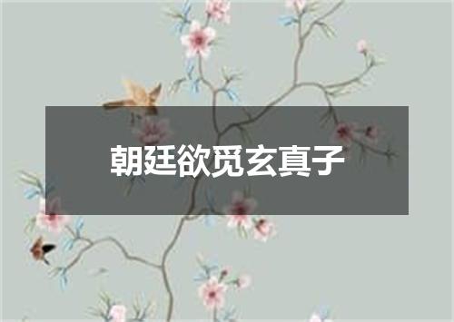 朝廷欲觅玄真子
