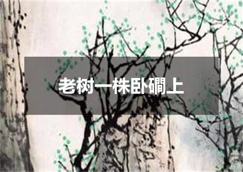 老树一株卧磵上