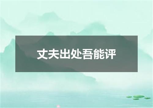 丈夫出处吾能评