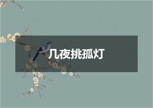 几夜挑孤灯