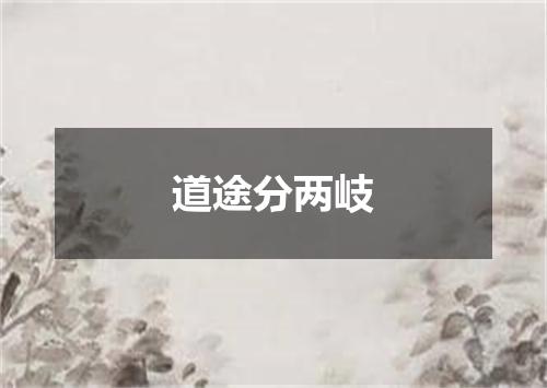道途分两岐