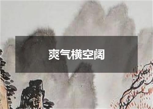 爽气横空阔