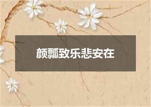颜瓢致乐悲安在