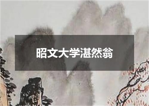 昭文大学湛然翁