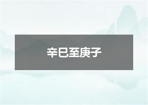 辛巳至庚子