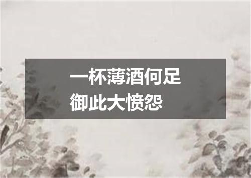 一杯薄酒何足御此大愤怨