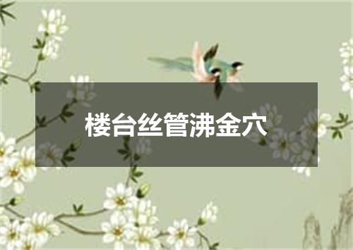 楼台丝管沸金穴