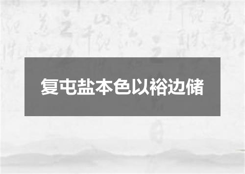 复屯盐本色以裕边储