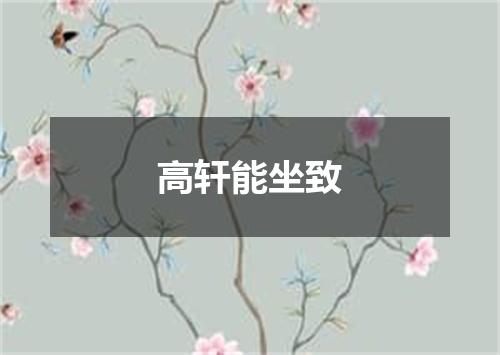 高轩能坐致