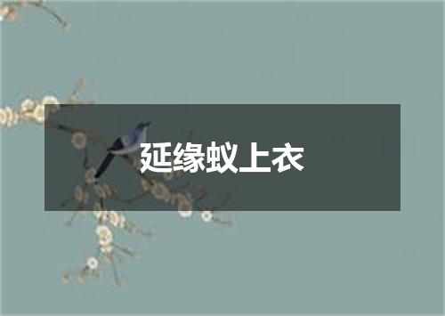 延缘蚁上衣