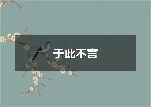 于此不言
