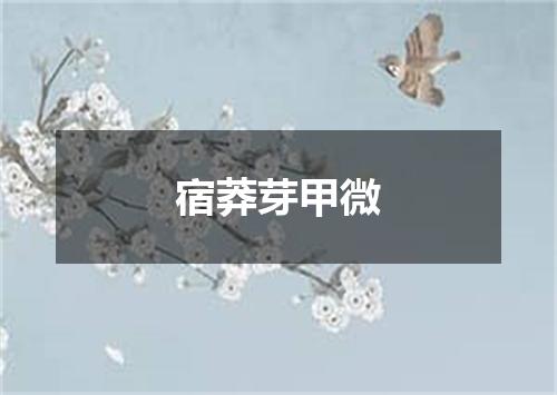 宿莽芽甲微