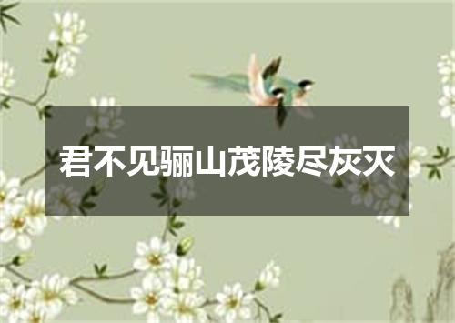 君不见骊山茂陵尽灰灭