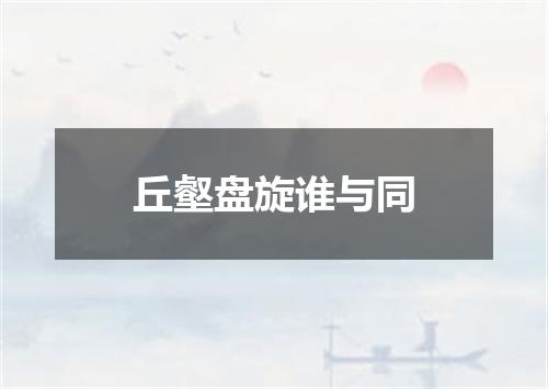 丘壑盘旋谁与同