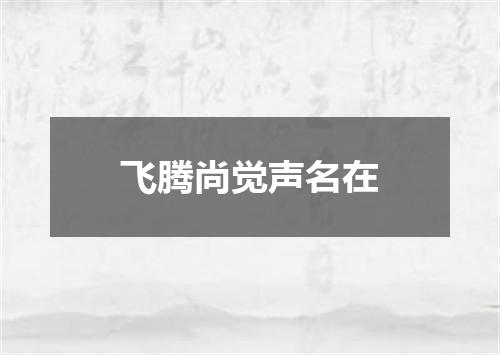 飞腾尚觉声名在
