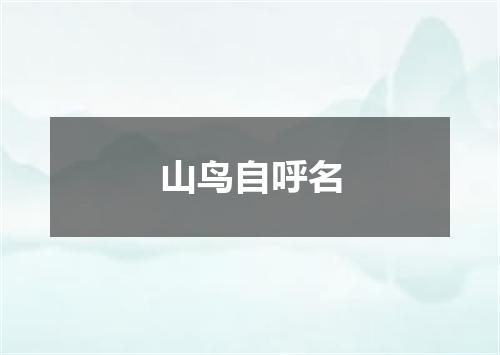 山鸟自呼名