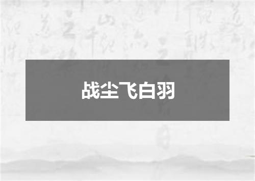 战尘飞白羽