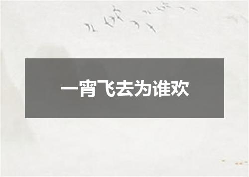 一宵飞去为谁欢