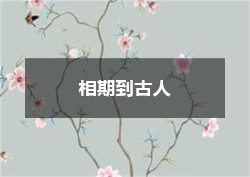 相期到古人