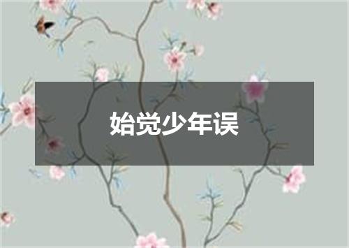 始觉少年误