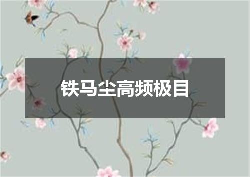 铁马尘高频极目