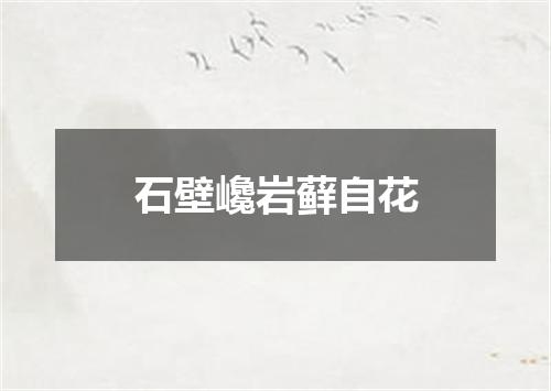 石壁巉岩藓自花