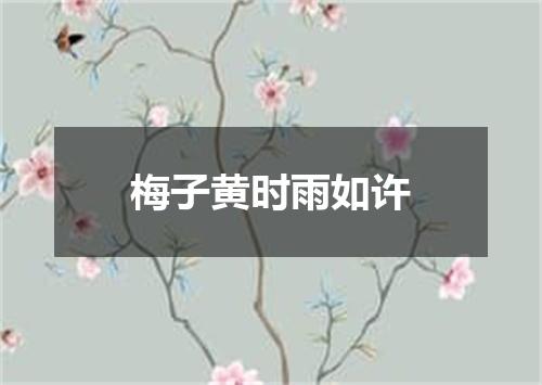 梅子黄时雨如许