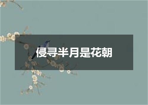 侵寻半月是花朝