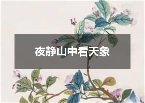 夜静山中看天象