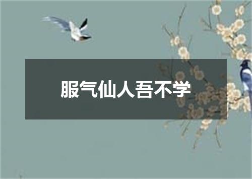 服气仙人吾不学