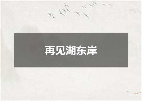 再见湖东岸